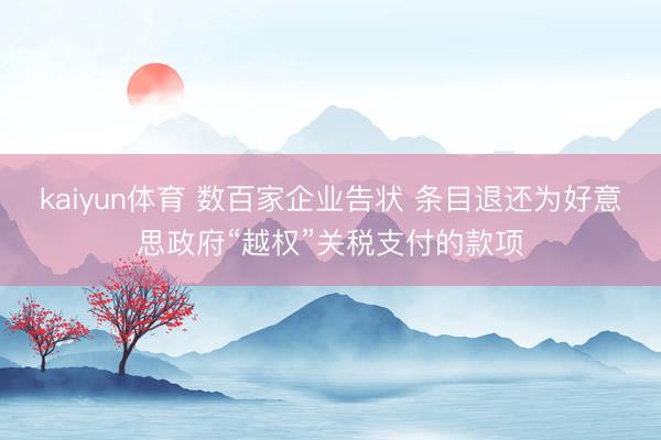 kaiyun体育 数百家企业告状 条目退还为好意思政府“越权”关税支付的款项
