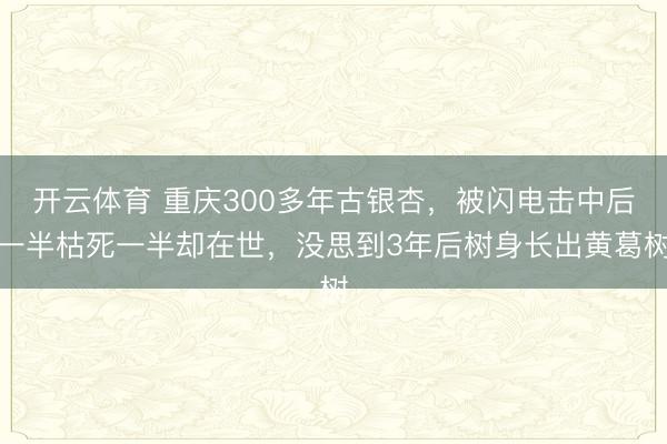 开云体育 重庆300多年古银杏，被闪电击中后一半枯死一半却在世，没思到3年后树身长出黄葛树