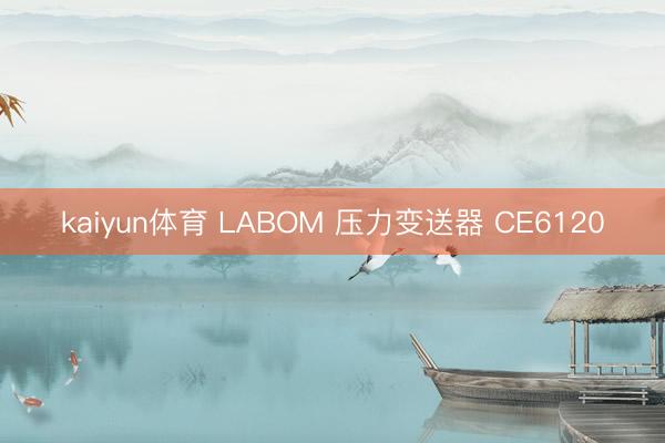 kaiyun体育 LABOM 压力变送器 CE6120
