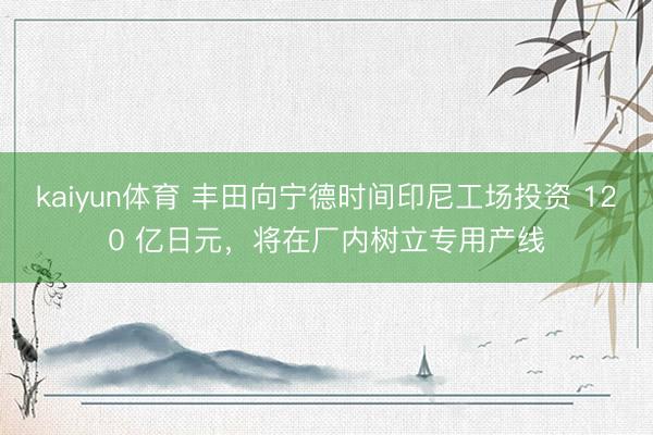 kaiyun体育 丰田向宁德时间印尼工场投资 120 亿日元，将在厂内树立专用产线